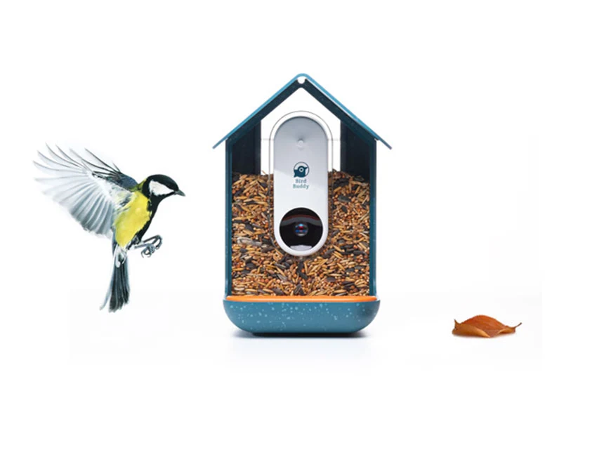 Bird Buddy smart bird-feeder hardware tile, the Prota Studios case study where demand validation funded a $5M Kickstarter launch