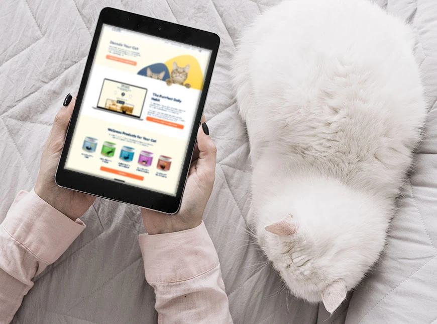 Clorox CPG innovation tile, the Prota Studios case study with two parallel new-venture validations including the CatPal cat-wellness DTC concept